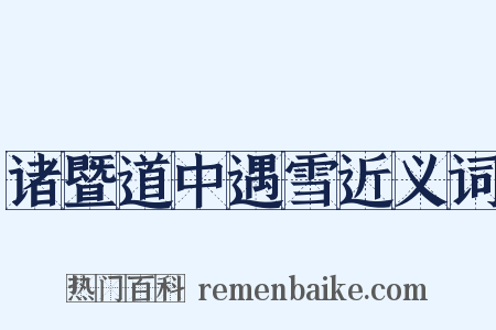 诸暨道中遇雪近义词是什么意思的图片